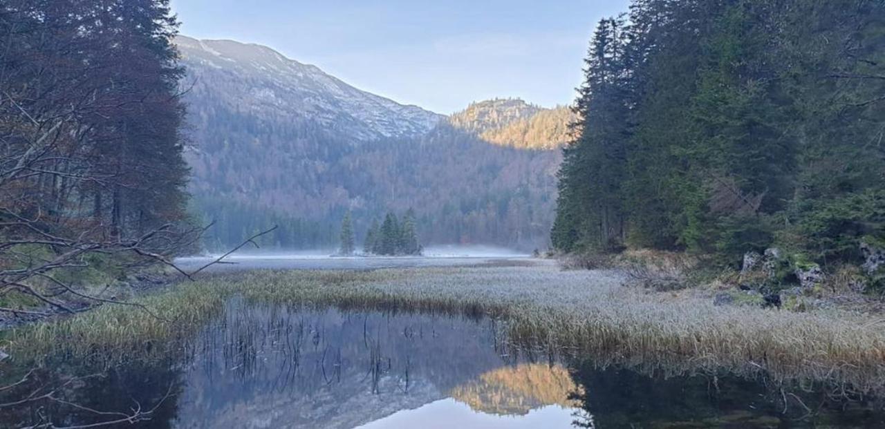 Ledererhof Lunz Am See Εξωτερικό φωτογραφία