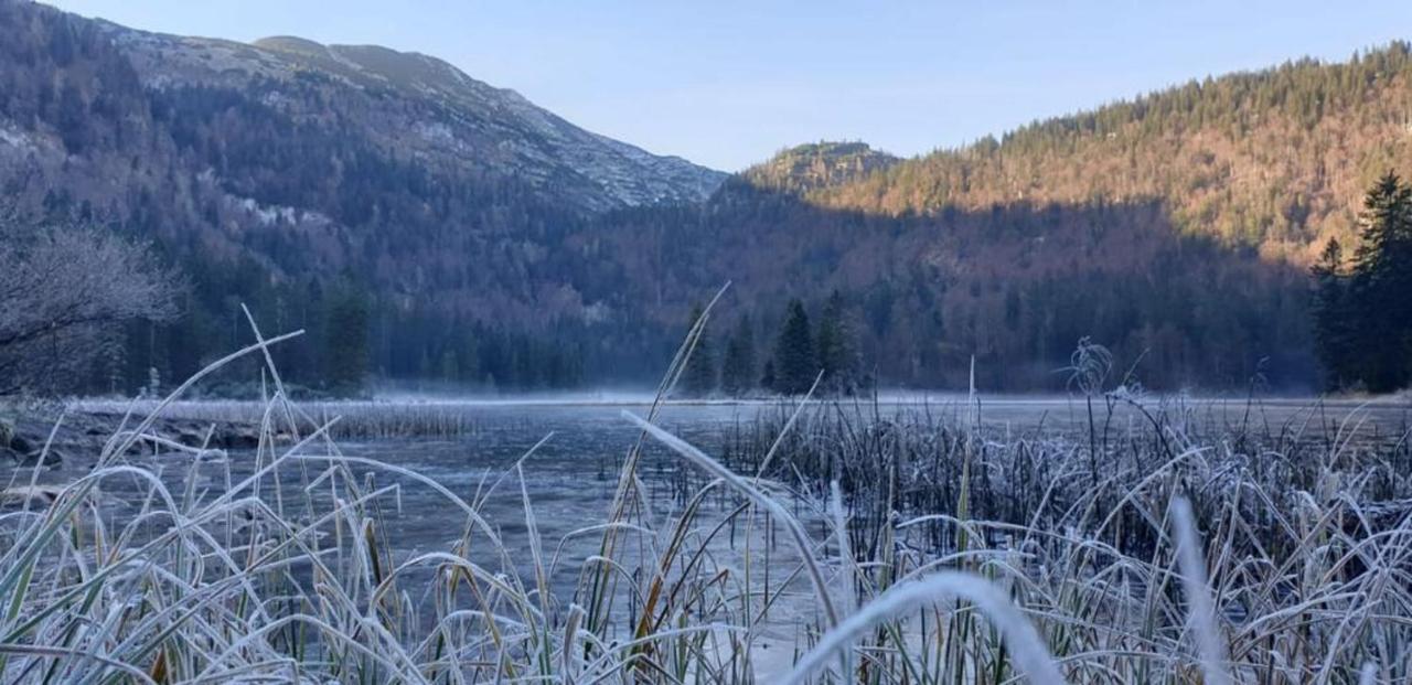 Ledererhof Lunz Am See Εξωτερικό φωτογραφία